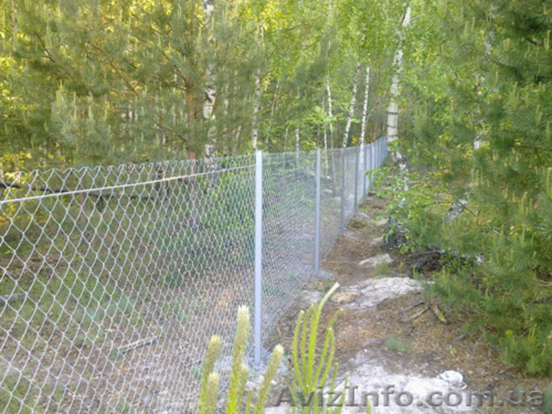Установка заборов (ограждений) из сетки рабицы. - <ro>Изображение</ro><ru>Изображение</ru> #1, <ru>Объявление</ru> #1471233
