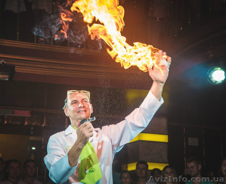 свадебное научное шоу - <ro>Изображение</ro><ru>Изображение</ru> #5, <ru>Объявление</ru> #1495099