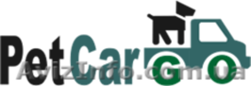 Услуга перевозки животных - <ro>Изображение</ro><ru>Изображение</ru> #2, <ru>Объявление</ru> #1503562