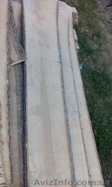 Дуб, ясень, клен, черешня, ольха,бук,берест. Доска сухая столярная - <ro>Изображение</ro><ru>Изображение</ru> #2, <ru>Объявление</ru> #1554248