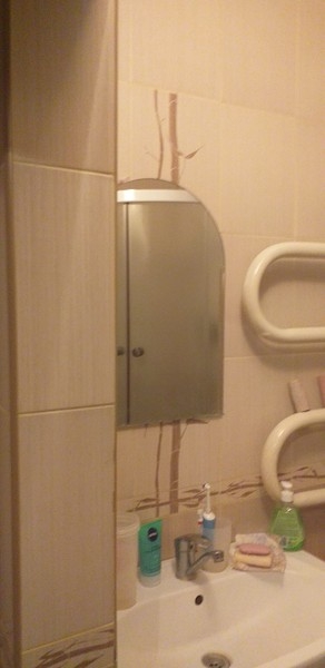 Аренда однокомнатной квартиры - <ro>Изображение</ro><ru>Изображение</ru> #1, <ru>Объявление</ru> #1653813