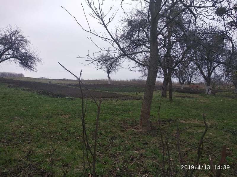 Продается участок 30 соток в с. Щитки, Винницкая область - <ro>Изображение</ro><ru>Изображение</ru> #2, <ru>Объявление</ru> #1654954