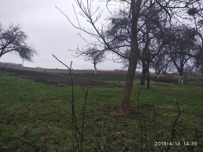 Продается участок 30 соток в с. Щитки, Винницкая область - <ro>Изображение</ro><ru>Изображение</ru> #3, <ru>Объявление</ru> #1654954