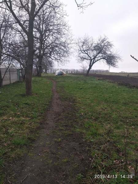 Продается участок 30 соток в с. Щитки, Винницкая область - <ro>Изображение</ro><ru>Изображение</ru> #4, <ru>Объявление</ru> #1654954