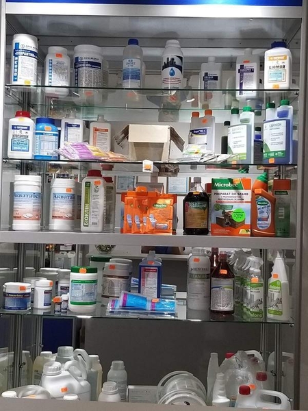 Служба дезинфекции офисных, производственных и жилых помещений - <ro>Изображение</ro><ru>Изображение</ru> #3, <ru>Объявление</ru> #1698311