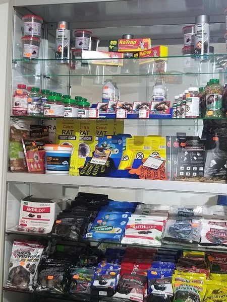 Служба дезинфекции офисных, производственных и жилых помещений - <ro>Изображение</ro><ru>Изображение</ru> #5, <ru>Объявление</ru> #1698311