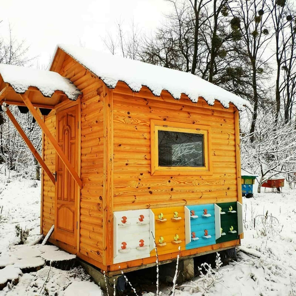 Продам Апідомік VIP класа, модель №1,№2,№3 и №4 - <ro>Изображение</ro><ru>Изображение</ru> #1, <ru>Объявление</ru> #1704383