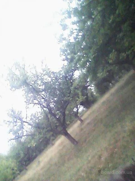 Дом, хоз.постройки, сад (домовладение) в с.Мизяковские Хутора - <ro>Изображение</ro><ru>Изображение</ru> #7, <ru>Объявление</ru> #1707662