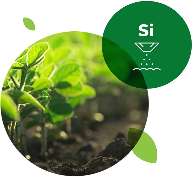 Агрисолика - кремниевое удобрение для сада и огорода в гранулах - <ro>Изображение</ro><ru>Изображение</ru> #2, <ru>Объявление</ru> #1723624